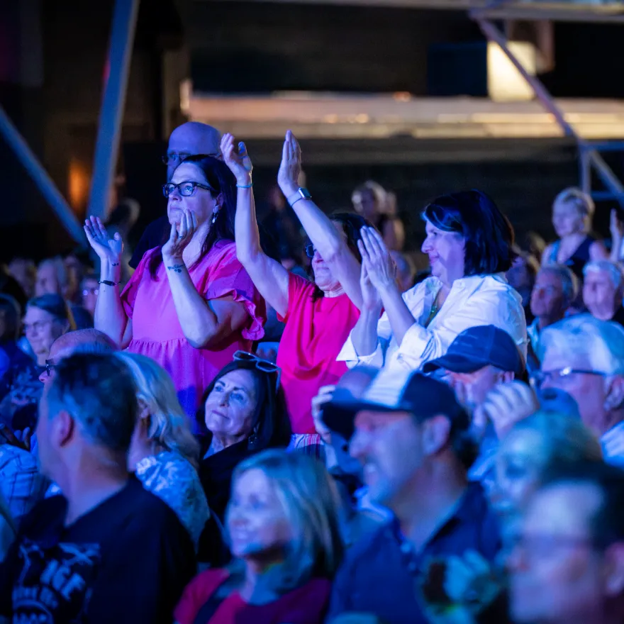 audience engaging in concert